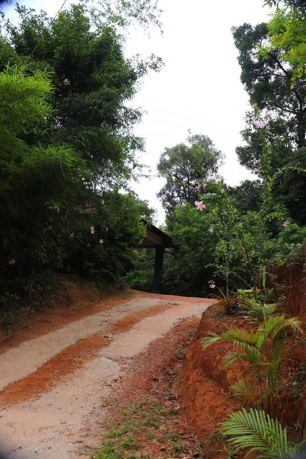Coorg Nature Breeze Home Stay Tulsa Exterior foto