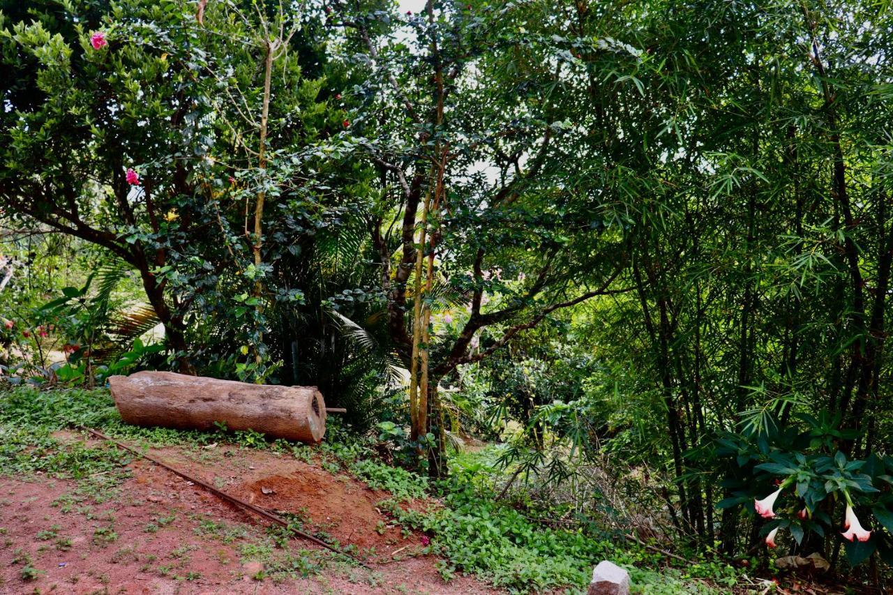 Coorg Nature Breeze Home Stay Tulsa Exterior foto